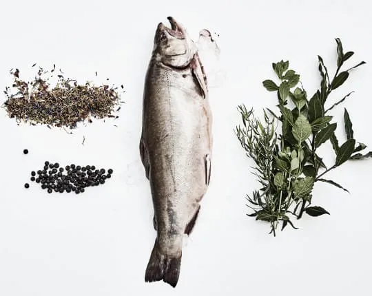 Hafele-Catering Hafele-Catering
